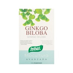 Ginkgo Biloba