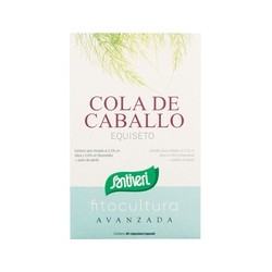 Cápsulas de Equiseto Fitocultivado