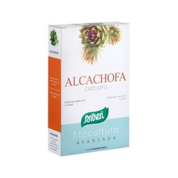 Alcachofa