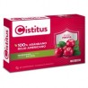 Cistitus