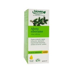 Ae abies sibirica abeto de siberia