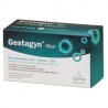 Gestagyn Men
