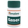 Gasex molestias gástricas