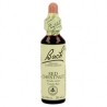 Flores de Bach Red Chestnut