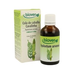 Equisetum Arvense (Cola de Caballo)