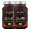 Pack 2x Mico Rei Ganoderma lucidum Reishi - Hdt