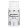 Bifidobacterium breve Holomega