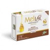 Melilax adult