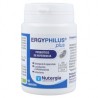 Ergyphilus plus inmunidad y alergias