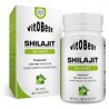 Shilajit energía y resistencia