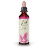 Flores de Bach Pine