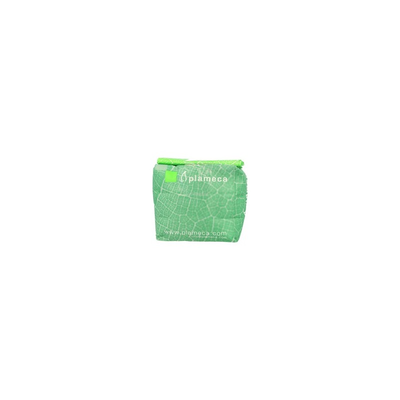 Semillas de Cardo Mariano