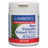 Extracto de Saw Palmetto