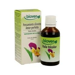 Pensamiento Silvestre (Viola Tricolor)