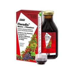 Floradix Hierro (250ml)