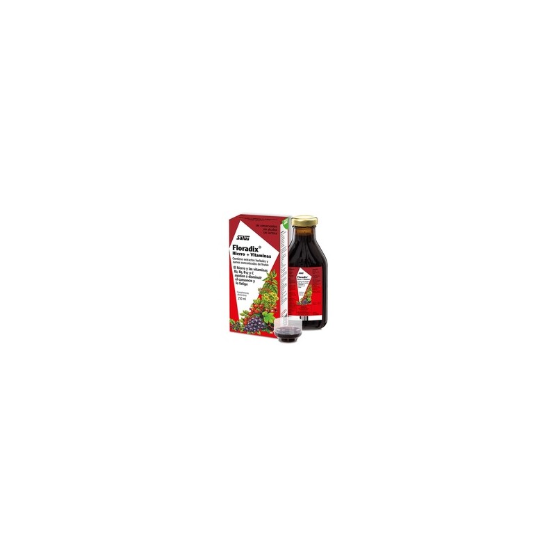 Floradix Hierro (250ml)
