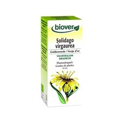 Solidago Virga Aurea (Vara de Oro) Tm