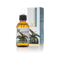 Extracto de Kalanchoe