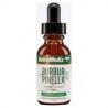 Burbur - Pinella extracto (detox)