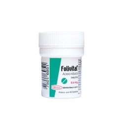 Folivital Acido Folico 0.4Mg 90 Tabs