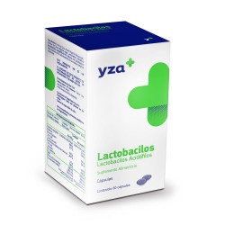 Yza Lactobacilos 450Mcg 60 Caps