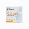 Gelicart Suplemento Alimenti 300G 30 Sbs