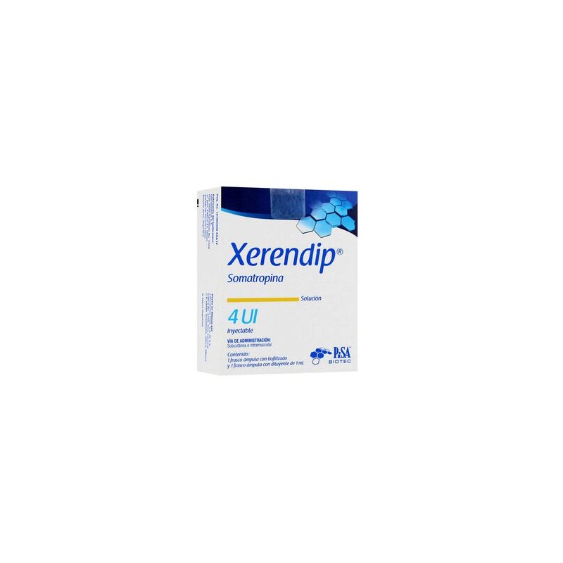 Xerendip Solucion 4Ui