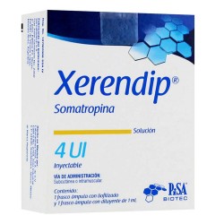 Xerendip Solucion 4Ui