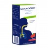 GUAXOQUIM GUAIFEN/OXOLAM ADULTO 140ML