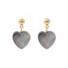 Aretes Corazón Abulón