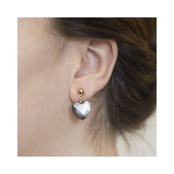 Aretes Corazón Abulón