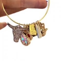 Pulsera con banda DORADA y dijes ajustable